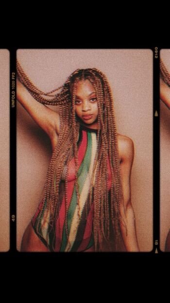 Diamond landry rose image