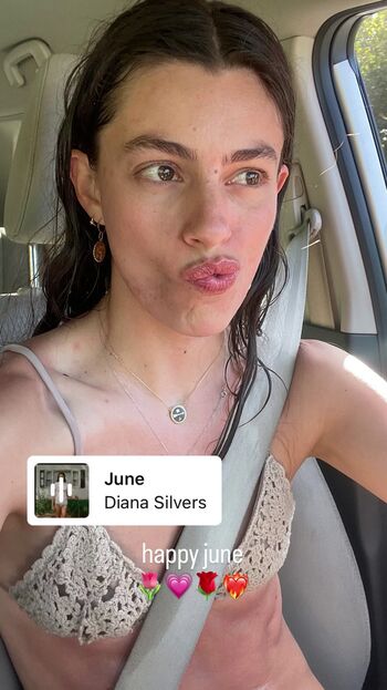 Diana silvers image