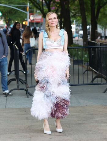 Diane kruger image