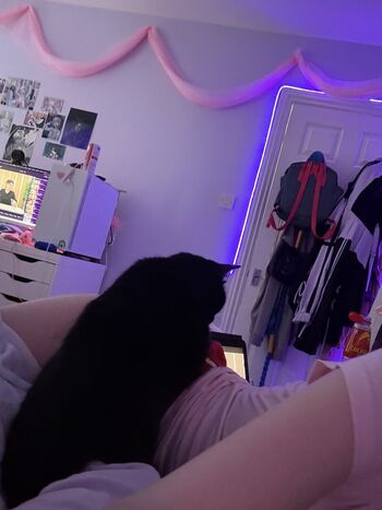 Digitalkatt image