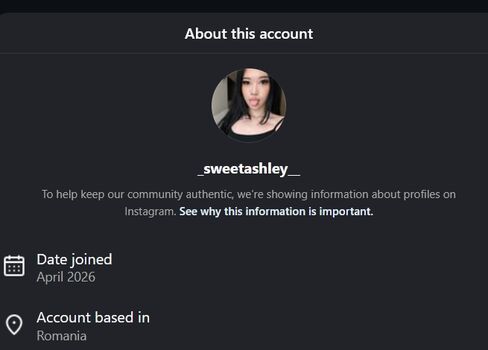 Dimsumshawty image