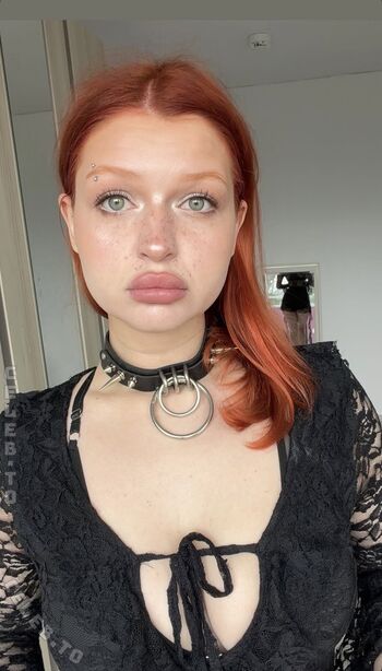 Dina image