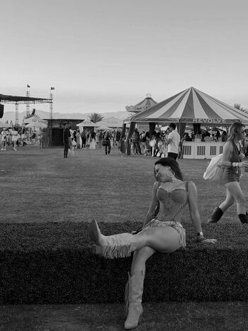 Doina barbaneagra image