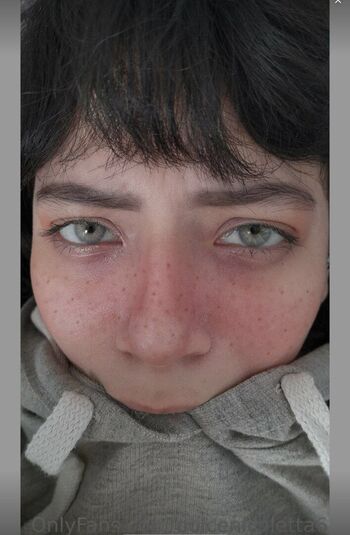 Dolcenicoletta6 image