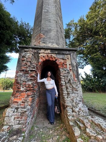 Dollofthesouth image