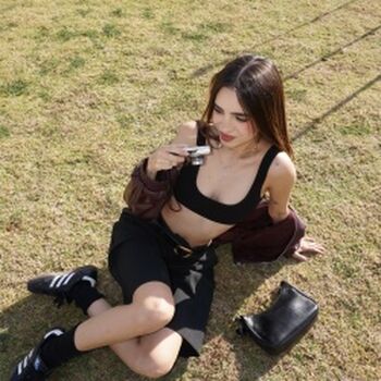 Domelipa page 3 image