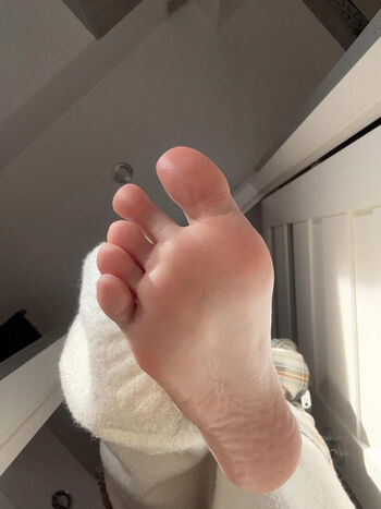 Domfoxen page 2 image