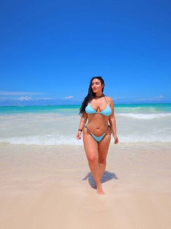 Dominik herbert image