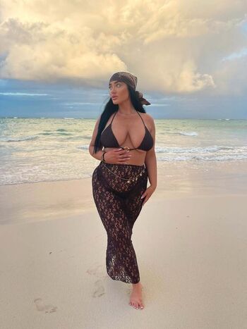 Dominik herbert image