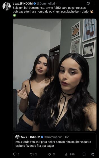 Dommezuri page 2 image