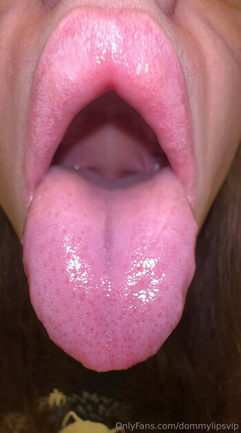 dommylipsvip