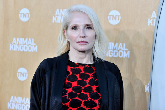 Ellen barkin image
