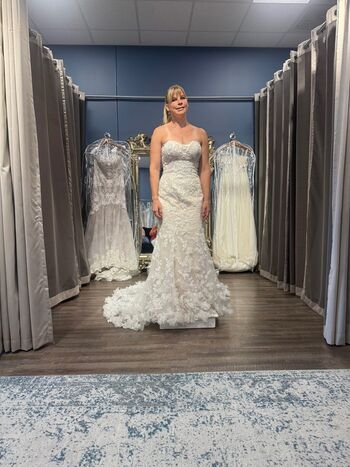 Ellie in space image