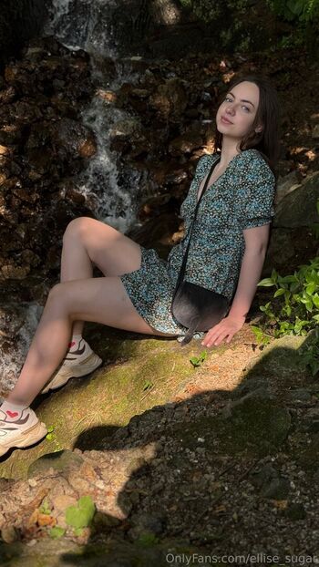 ellise_sugar