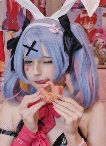 Eluchan image