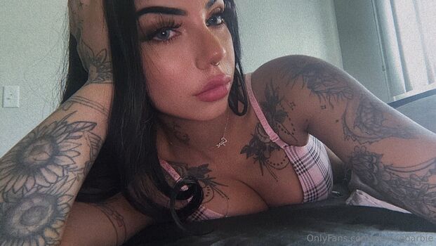 Elusivebarbie 1 image