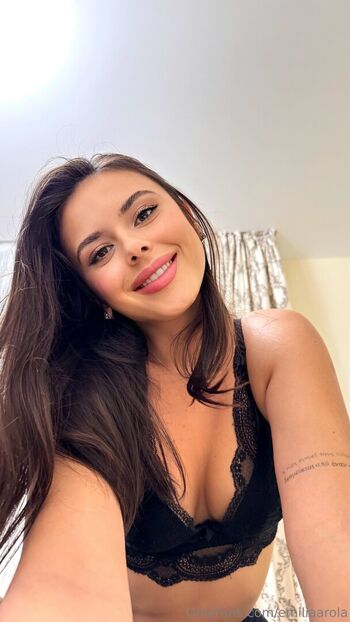 Emiliaarola image