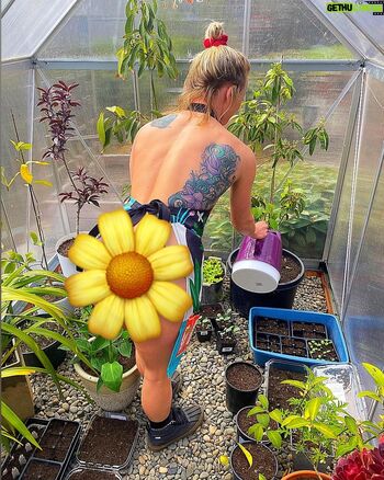 Emily whitmire image