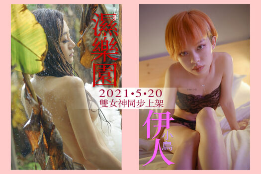 Emotionalbirdy image