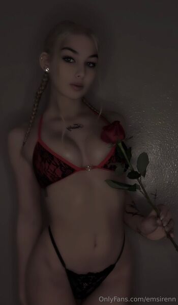 Emsirenn page 2 image