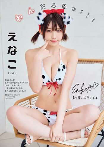 Enako page 11 image