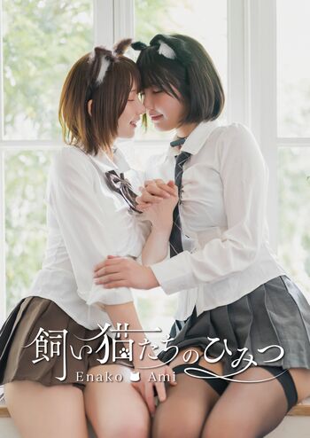 Enako page 5 image