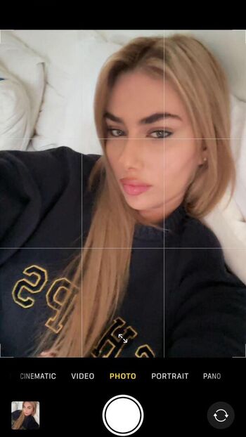 Estelllexo image