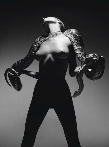 Eva rose image