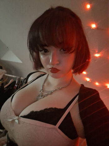 Eveisbed page 3 image