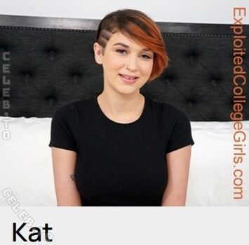 Excogi 1 page 3 image