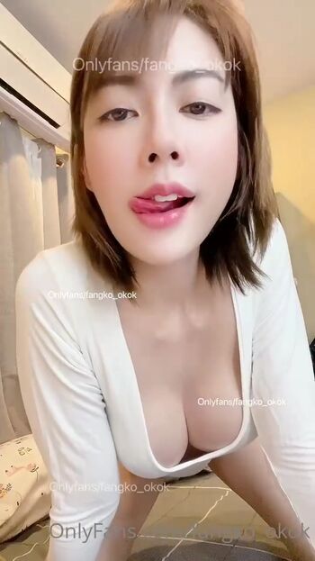 fangko_okok