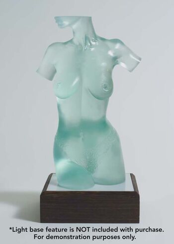 Fawn winters image