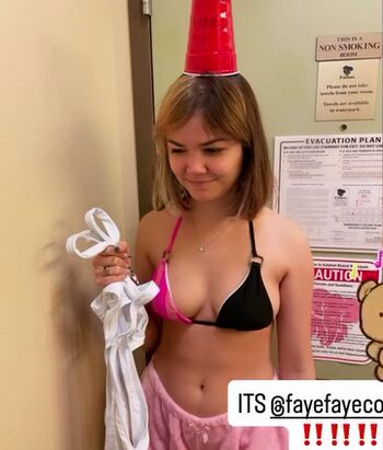 Fayefayeplays image
