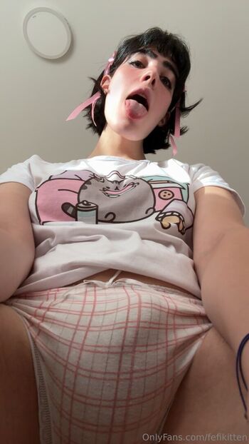 fefikitten