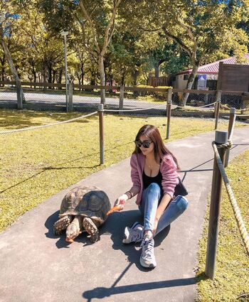 Feifeihsieh page 3 image