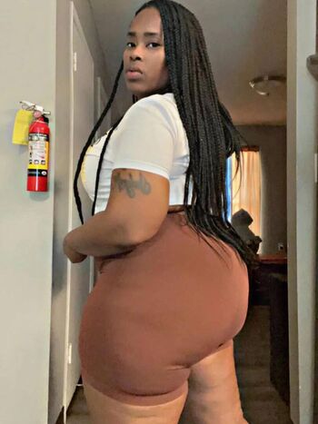 Fenishia coston image
