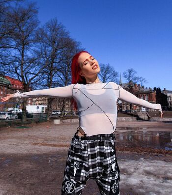 Finnish musical artists image