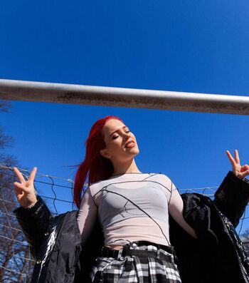 Finnish musical artists image