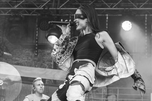 Finnish musical artists image