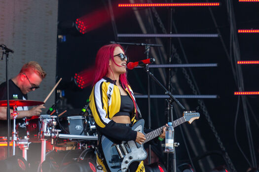 Finnish musical artists image