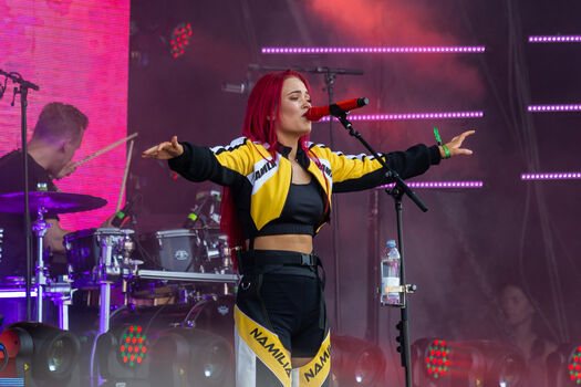 Finnish musical artists image