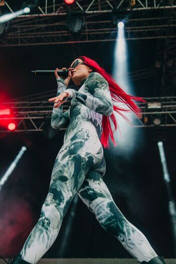 Finnish musical artists image