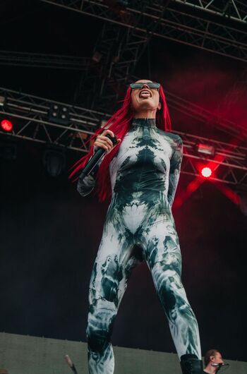 Finnish musical artists image