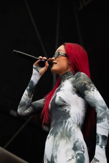 Finnish musical artists image