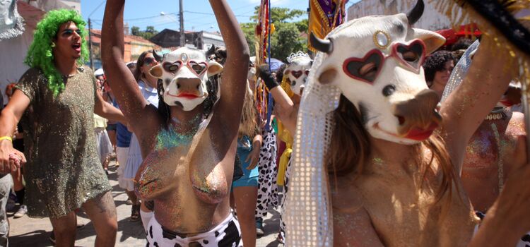 Flagras carnaval image