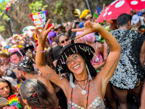 Flagras carnaval image