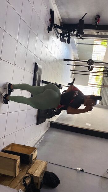 Flavia lavinea image