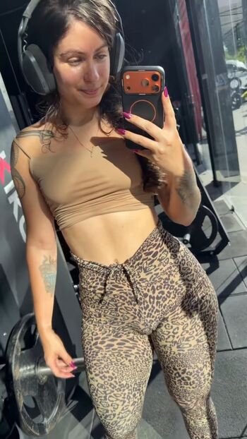 Frandemilhoess image