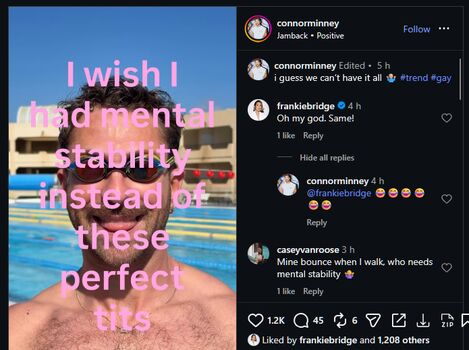 Frankie bridge 1 image