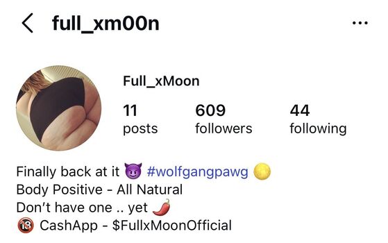 Fullxmoon image